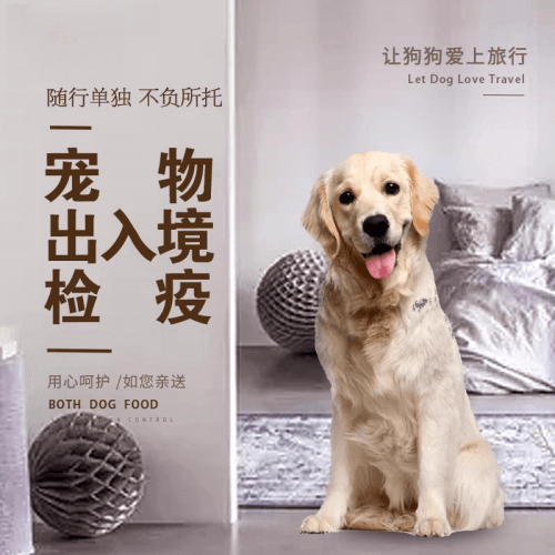 伊犁州宠物托运到哥伦比亚猫狗宠物入境规定和