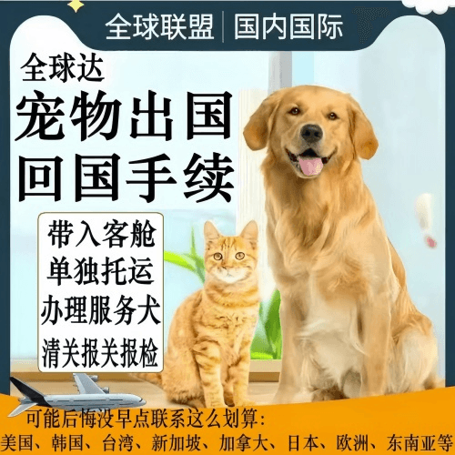 伊犁州宠物托运到柬埔寨宠物入境规定和要求