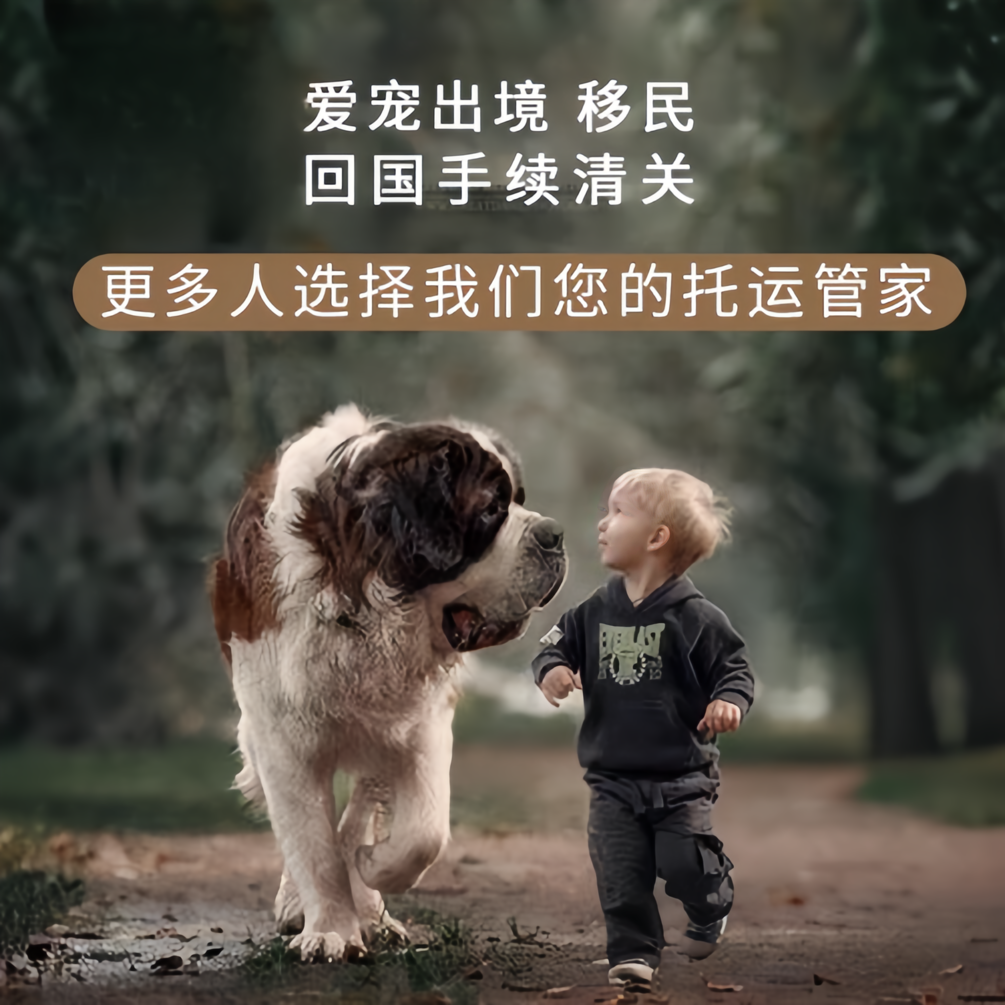 满财伊犁州宠物全球达宠物托运在遵守入境目的地政策的条件