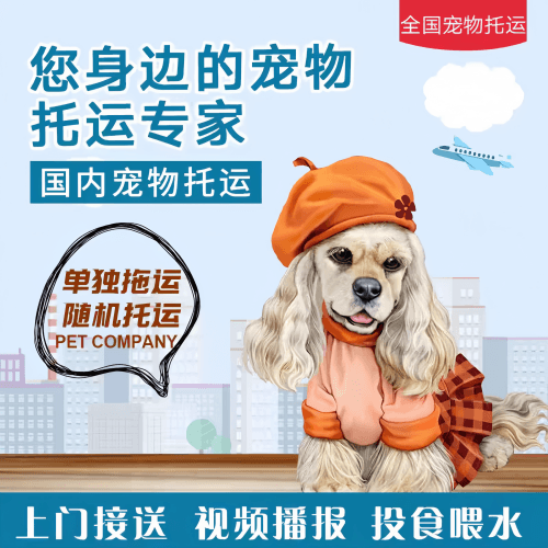 满财伊犁州宠物全球达宠物托运作为专业的宠物运输代理机构